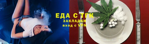 индика Богородицк